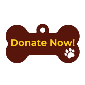 Donate Now