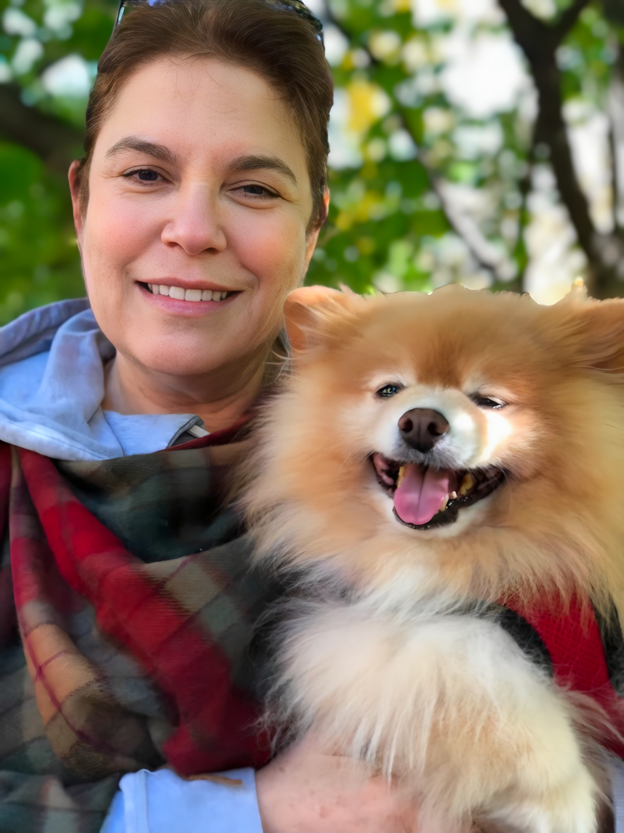 How Does Dog Adoption Work? A Complete Guide for First-Time Adopters